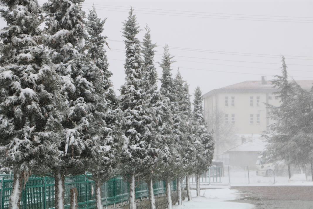 Konya’da çiçek açan ağaçları beyaz örtü kapladı 6